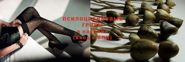 мдпв Наволоки